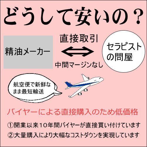 ティトリー(オーガニック)50mlティートリーオイルアロマアロマオイルエッセンシャルオイル精油【香りと暮らす】