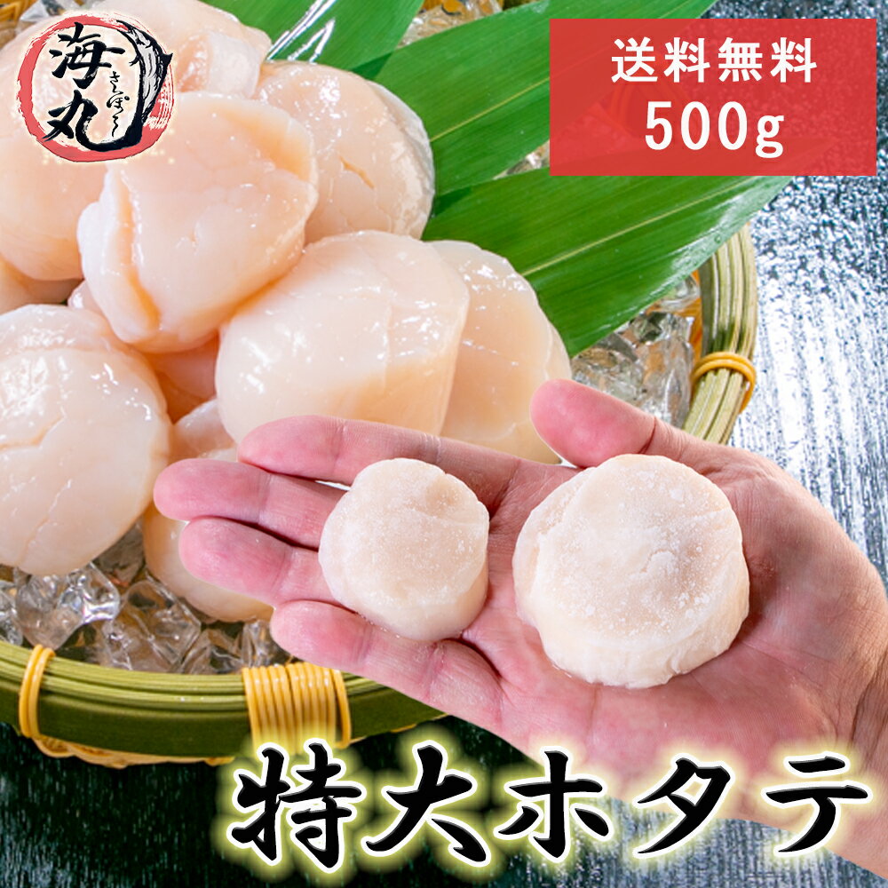 北海道産 生帆立貝柱500g 特大 肉厚 2Lサイズ ほたて ホタテ 帆立 ほたて貝柱 ホタテ貝柱 帆立貝柱 生帆立 ホタテ 貝 真空加工 瞬間冷凍 冷凍発送【送料無料】ほたて生帆立ホタテ貝 ギフト お祝い　贈答用 熨斗も対応(お歳暮)自社加工 北海道中央卸売直接仕入