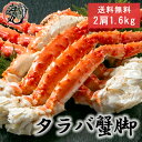 タラバガニ足 1肩 800g×2 約1．6kg 身入り良し！特大 ボイルタラバガニ 極太 タラバ足 オホーツク海産 冷凍発送【送料無料】(父の日) 北海道中央卸売直接仕入 たらばかに タラバガニ たらば蟹 タラバ蟹 蟹足 贈答用 ギフト内祝い お祝い 熨斗も対応