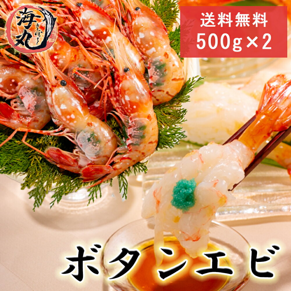 ぼたんエビ 超特大 牡丹海老メス 1kg 500g×2 特大2Lサイズ 5～6尾入り 約12尾前後 真空加工 冷凍発送【送料無料】(父の日)北海道中央卸売直接仕入 えび エビ 海老 ボタンエビ ぼたんえび海鮮 お刺身 お寿司 贈答用 ギフト内祝い お祝い 熨斗も対応