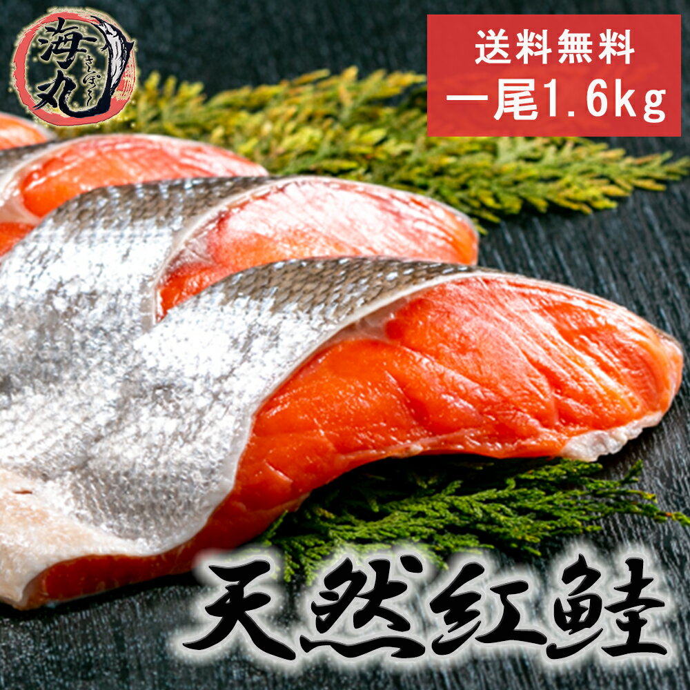 【くじを引いてお得なクーポンGET!】天然 紅鮭 切身20切 1尾分 1.6kg 北洋産 甘塩 べにじゃけ 鮭 紅さけ しゃけ べにさけ 送料無料 お祝い 海鮮 おうち時間 北海道 贈り物 贈答 ギフト プレゼント お弁当 厚切り おかず 高級 お歳暮 内祝い