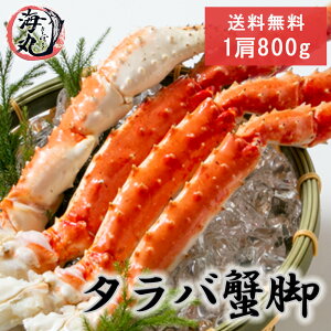 タラバガニ足 1肩 800g 身入り良し！特大 ボイルタラバガニ 極太 タラバ足 オホーツク海産 冷凍発送【送料無料】(お歳暮) 北海道中央卸売直接仕入 たらばかに タラバガニ たらば蟹 タラバ蟹 蟹足 贈答用 ギフト内祝い お祝い 熨斗も対応