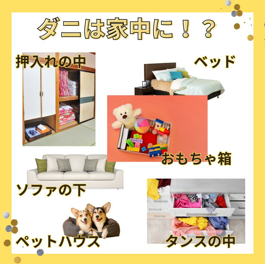 �����Х���ѥ��֤������ǥ���Ͷ���༣�����ȡ�������ꥷ���ȡ�3�����ꡡ5���å�