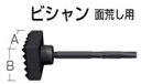 マキタ ビシャン 面荒し用 A-21484