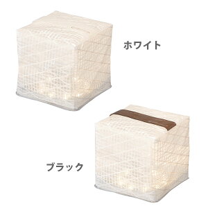 ● 進化したソーラーパフ 『キャリーザサン CARRY THE SUN』 ソーラー式エコライト ウォームライト ミディアム solar puff ランドポート Landport 【エコ アウトドア 防災 ベランピング おうちキャンプ ランタン ソーラー ギフト プレゼントとして】通販格安セール情報 楽天 通販