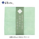 白雪ふきん いろむじ グリーン 約30×40cm 1605【日本製 ふきん おしぼり はんかち 手拭い てぬぐい 手ぬぐい ハンカチ 洗える ガーゼ キッチン プレゼント】