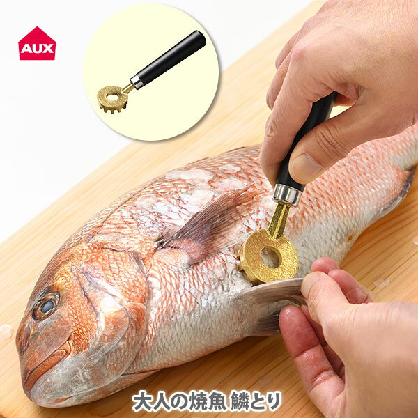 燕三条 キッチングッズ AUX オークス 大人の焼魚 鱗とり OTS8013【日本製 ウロコ取り ウロコ除去 鱗取り うろこ取り うろことり 丸型ヘッド 真鍮製 燕三条 魚料理 アウトドア キャンプ キッチン ギフト プレゼントとして】