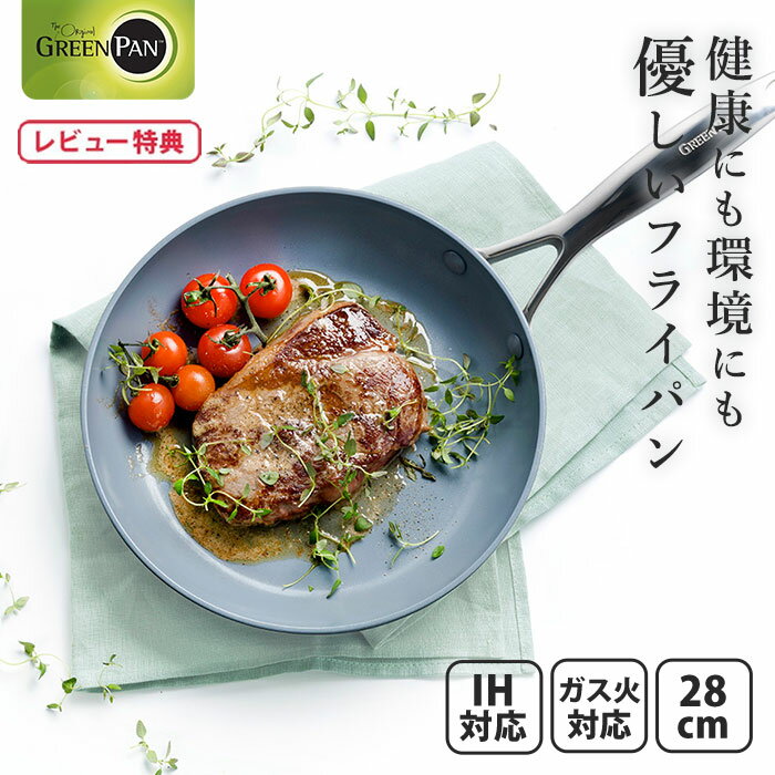 ٤ŵա ꡼ѥ ե饤ѥ 28cm ˥ץ CC000653-001 VENICE PRO GREENPAN IHбڹ ֥å γ۹ ߥå б å ӥ塼ڡ