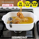 パール金属 HB-1891 メイドインジャパン 鉄製注ぎやすい天ぷら鍋22cm (1029583)