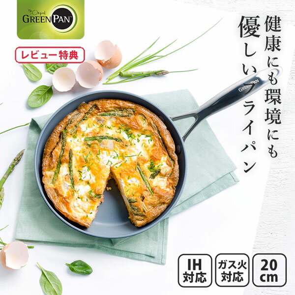 ٤ŵա ꡼ѥ ե饤ѥ 20cm ˥ץ CC000650-001 GREENPAN VENICE PROIHбˡڹ ֥å γ۹ ߥå б å ӥ塼ڡ