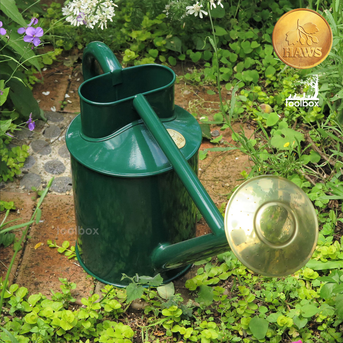 ������͢����������Ź�ʡۡڱѹ� Haws �ۡ��� �ȥ�ǥ�����ʥ� �������륫��4.5L ���꡼���