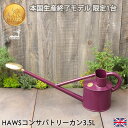 本国生産終了 在庫限り【日本輸入正規代理店品】【英国 Haws ホーズ プロフェッショナルカン 3.5リットル 】イギリス 老舗 ジョウロ コンサバトリーカン 3.5L Haws おしゃれ ジョーロ 散水 水やりガーデニング 送料無料