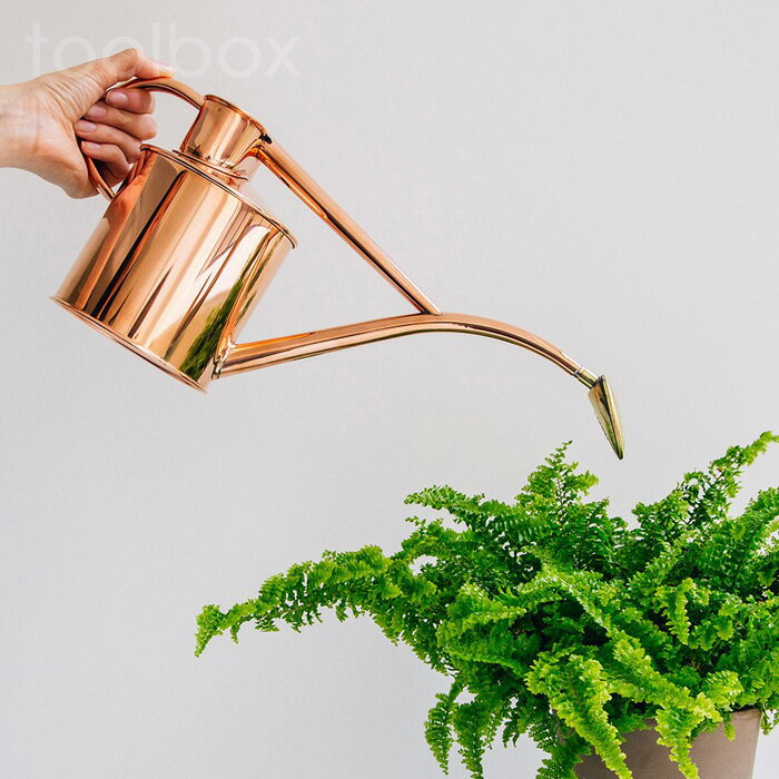 ������͢����������Ź�ʡۡڱѹ� Haws �ۡ�����Ƽ������������󥰡�����1.0��åȥ� Classic Copper Can180/2�� ����̵�� 2020�ߥ��ե�