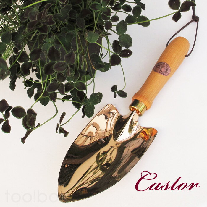 �������ȥꥢľ͢����Ƽ�������ǥ˥󥰥ġ��� �ϥ�ɥ����å� Castor PKS BRONZE-100�� ������� ��ݥ����å� ���ե��б� ������ �࿦���ˤ��ϥ�ɥ���٥� ����٥� �ܿ����� �����ǥ�ġ��� 24ǯ��