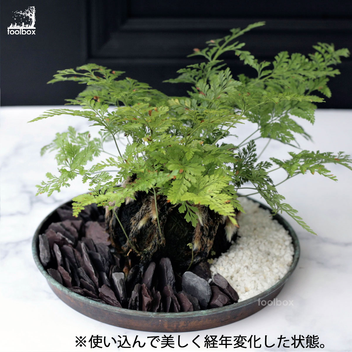 メール便で送料無料【銅製皿 直径186mm 】銅皿 苔玉皿 丸皿 銅プレート 水盤 盆景 盆栽 銅100％