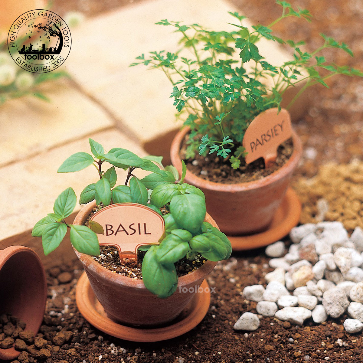 ��Ƽ�� �դ��פ졼�� 100������ FP-100-100�ۥץ��ĥ�٥� �ե��ץ졼�� ��ݥ͡����٥� ��ݥ�٥� �ץ��ȥޡ����� ��ʪ��٥� �����ǥ��٥� ��ݥ͡���ץ졼�� �ץ��ĥޡ����� �ե���٥� �����