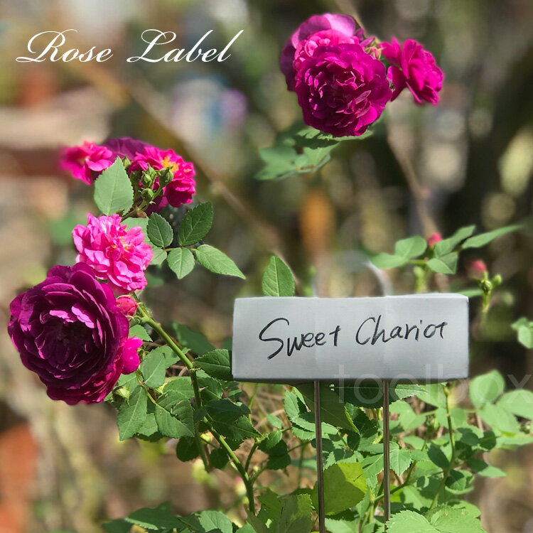 【亜鉛製プレート ステンレス脚の ローズラベル プランツラベル10枚セット】「Rose LABEL（ローズラベル）」（10枚1組）園芸ネームラベル 園芸用ラベル プラントマーカー プランツタグ 植物ラベル ガーデンラベル 園芸ネームプレート フラワープランツラベル
