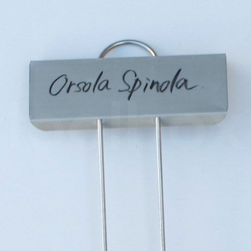 �ڰ�����٥��ѥ��㡼�ץڥ� ��������ԥġۥᥫ�˥���ڥ󥷥� �ޡ����󥰥ڥ󥷥� ��°�ѡ����饹�ѡ��ץ饹���å���