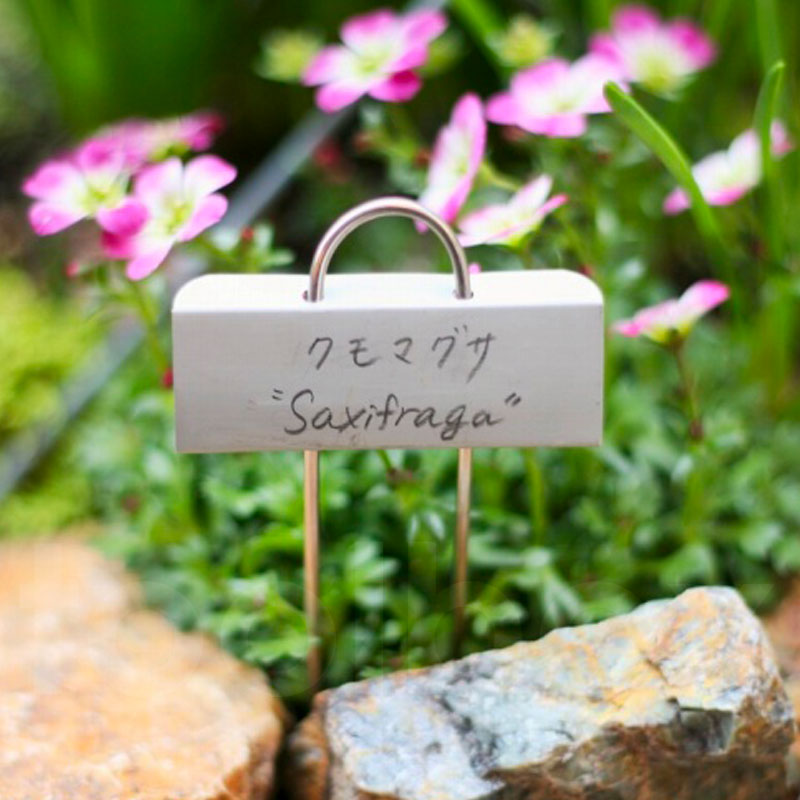 花の名札を作る | 花の名前を書く札 – HPJDFI