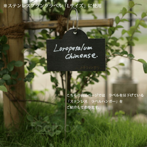 �ڥ��ƥ�쥹�� ��٥��ѥϥ󥬡��ۡʥ����å��˥��ƥ�쥹�� �֥�å����ƥ�쥹��٥��� ���졼�ȥ�٥���