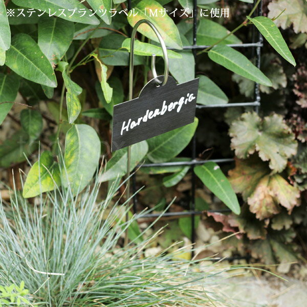 �ڥ��ƥ�쥹�� ��٥��ѥϥ󥬡��ۡʥ����å��˥��ƥ�쥹�� �֥�å����ƥ�쥹��٥��� ���졼�ȥ�٥���