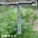 ヤマト・園芸用ラベル・F−11
