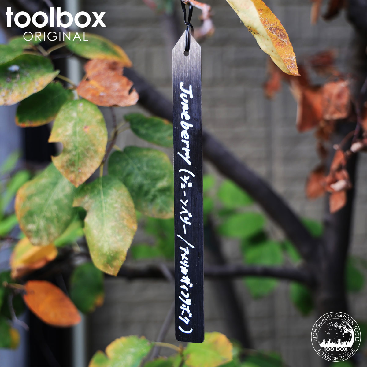 �ڥ֥�å� ���ƥ�쥹 �ץ��ĥ�٥�ķ��ۥ͡����٥� ����ѥ�٥� �ץ��ȥޡ����� ��ʪ��٥� �����ǥ��٥� ���ƥ��å� �ץ��ĥ͡��� �� ��������٥� �ե��ץ��ĥ�٥� �֤鲼�����������߷���