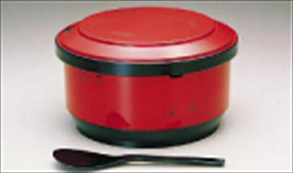 直送品■いずみ飯器根来10人用 RHV115