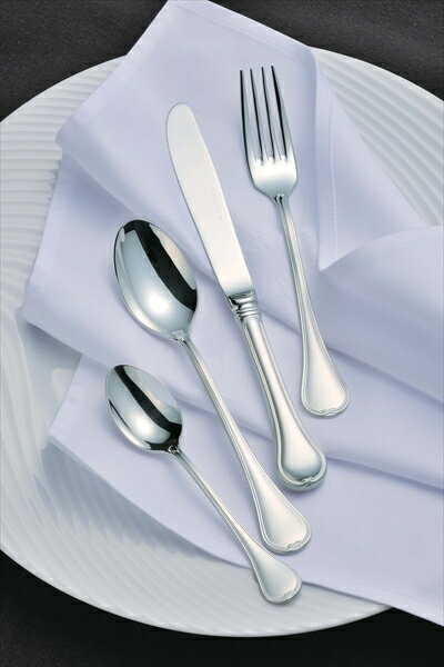 SA18－12ウィンサム銀仕様 [ アイストング（大・無地） ][ 9-1794-0247 ] OUI02098