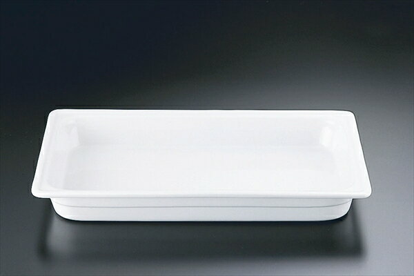 TKGコーポレーション TKG　EC　ガストロノームディッシュ [ 1／1　65mm　EPA208 ] NEK1401