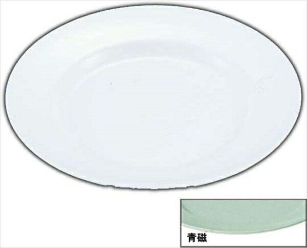 メラミン平皿（リム型）24 [ （10インチ）青磁 ][ 9-2440-0910 ] RHL18244R
