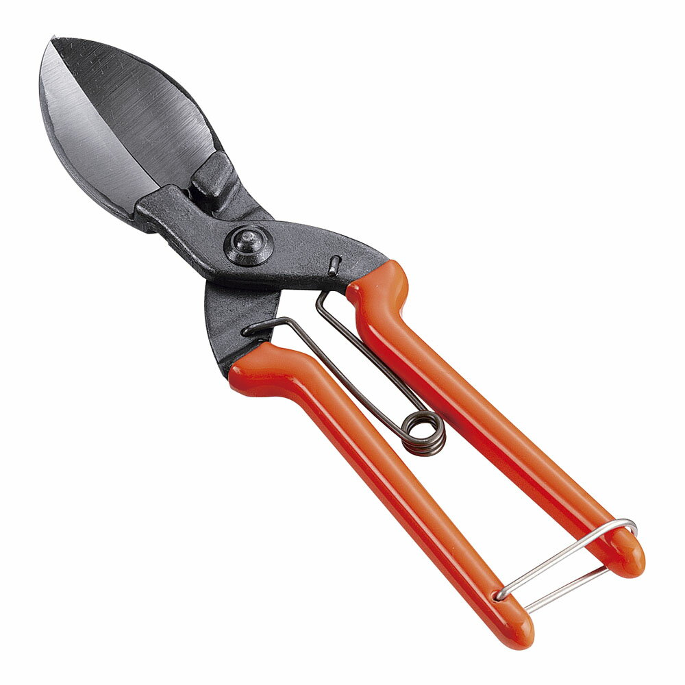 SUWADAかぼちゃ収穫用鋏 [ かぼちゃん ] BKB0501