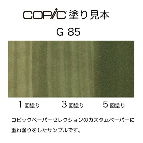 コピッククラシック G85の紹介画像3