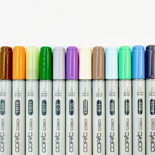 【インク補充可能!!繰り返し使える!!】【当店オリジナル!!】コピックチャオ 買い足しおすすめ12色 集めてみました グループA