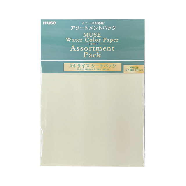 ホルベイン ウォーターフォード水彩紙 ホワイト 中判 560×760mm 並厚口 190g 荒目 10枚セット 261601