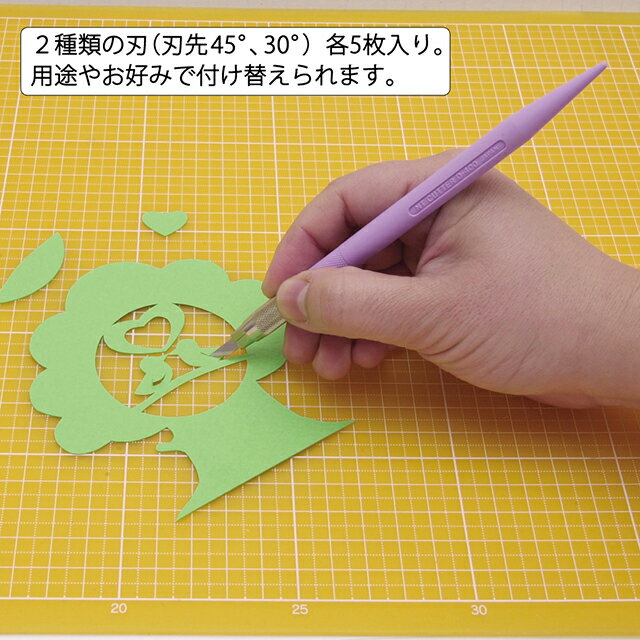 NT�ǥ�����ʥ��� D-401P(V) �Х�����å�