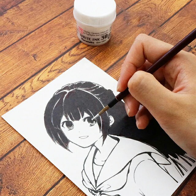 クレタケ ZIG CARTOONIST WHITE INK 30
