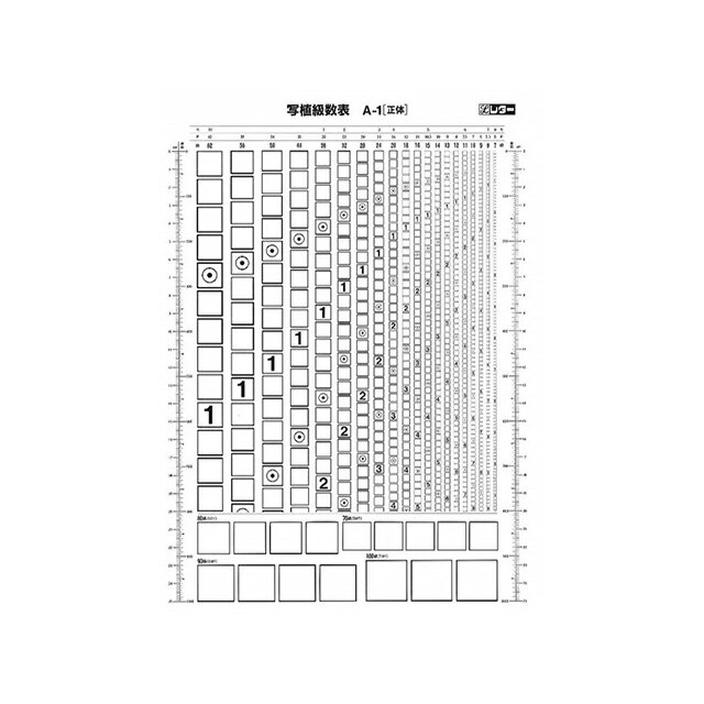 クリアドーム定規 ものさし CHILL DROP Simple mood style カミオジャパン 新学期準備文具 かわいい メール便可