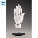 【在庫あり!!】コトブキヤ ARTIST SUPPORT ITEM ハンドモデル / L -WHITE-(左手)