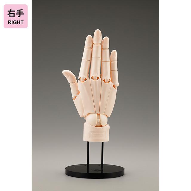 【在庫あり!!】コトブキヤ ARTIST SUPPORT ITEM ハンドモデル/R-PALE ORANGE-(右手)