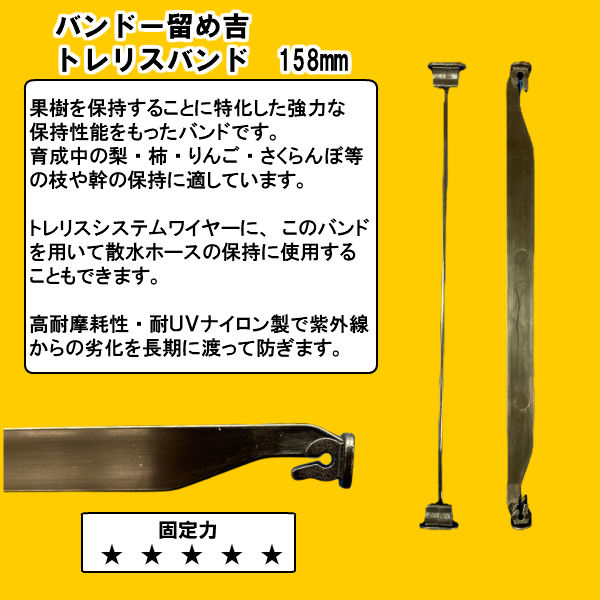 バンドー留め吉 【 トレリスバンド Fruit...の紹介画像3