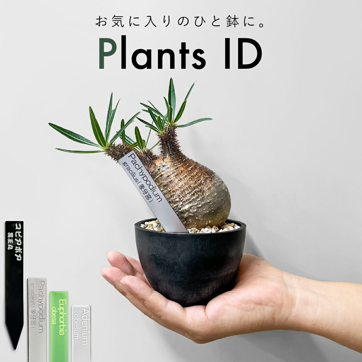 Kaiju Plant 植物育成ライト 怪獣フレア まるで太陽のような パネルLED フルスペクトル UV IR 搭載 301 ブラック セット売り