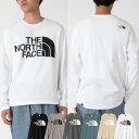 THE NORTH FACE メンズ レディース Tシャツ カットソー ロングスリーブ クルーネック ハーフドームロゴ 黒 ブラック グレー 白 ホワイト STANDARD L/S TEE 長袖 NF0A5585