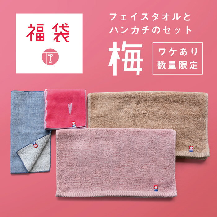 【限定100セット】 福袋 2025 フェイスタオル2枚 ハンカチ2枚 セット アウトレット 今治タオル ハンドタオル ハンカチタオル タオルハンカチ レディース メンズ キッズ 送料無料 まとめ買い 中身の見える福袋 色柄おまかせ 綿100％ 薄手 ガーゼ セールのサムネイル