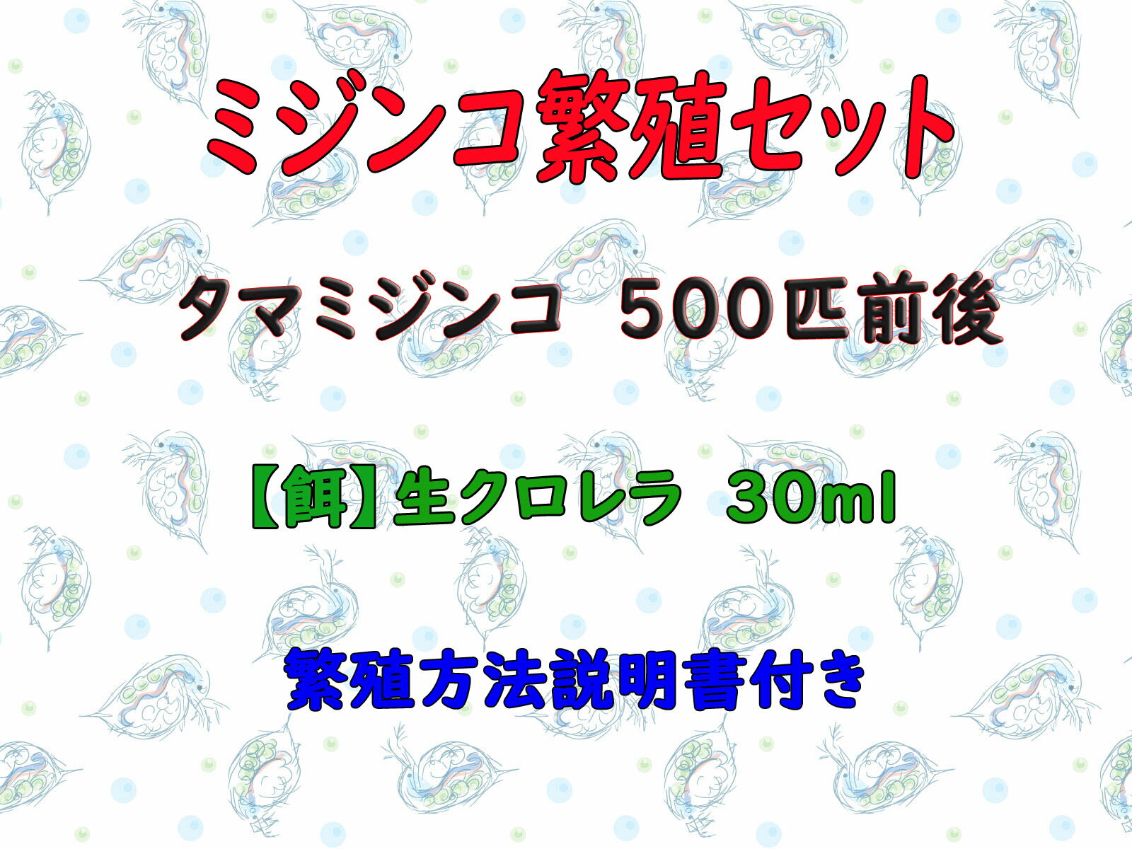 楽天市場 安心のクール便 ミジンコ繁殖セット タマミジンコ 約500匹 約0 5g スーパー生クロレラ 30ml 繁殖方法説明書付き ゴールドウッド みんなのレビュー 口コミ 楽天市場 安心のクール便 ミジンコ繁殖セット タマミジンコ 約500匹 約0 5g スーパー生クロレラ 30ml 繁殖方法説明書付き ゴールドウッド みんなのレビュー 口コミ