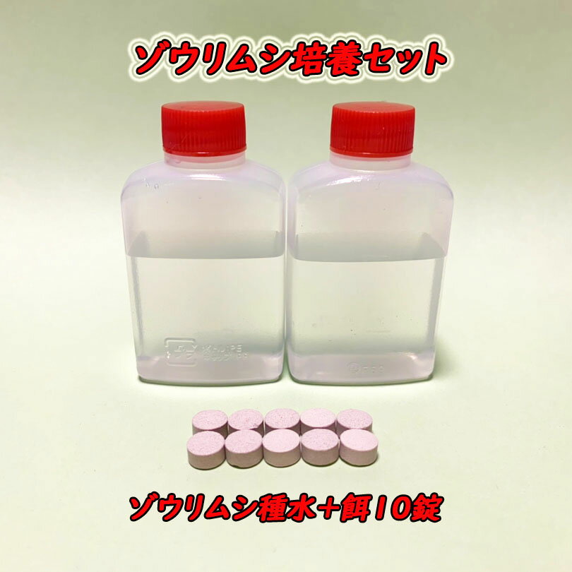 ゾウリムシ培養セット 【ゾウリムシ種水 30ml×2本+ゾウリムシの餌 10錠+培養方法説明書】のセットです。 メダカの稚魚 針子に