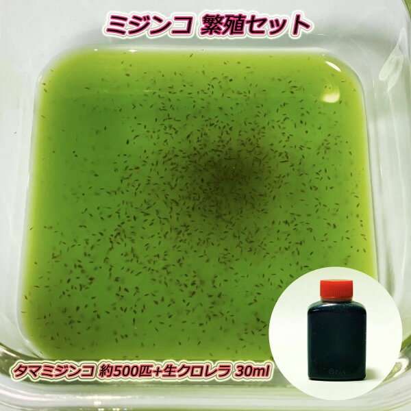 クロレラ メダカ みんな探してる人気モノ クロレラ メダカ ペット ペットグッズ クロレラ メダカ みんな探してる人気モノ クロレラ メダカ ペット ペットグッズ