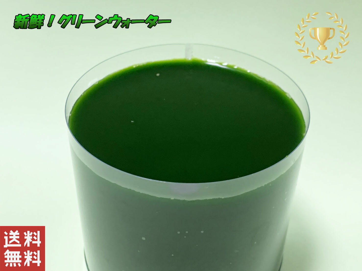 【期間限定価格★スタンドパック充填済みになりました★】グリーンウォーター クロレラ水 600ml スーパー生クロレラ使用 説明書付属