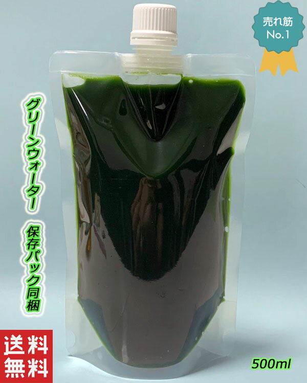 【期間限定価格★スタンドパック充填済みになりました★】グリーンウォーター クロレラ水 600ml スーパー生クロレラ使用 使用方法説明書付き