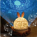 \SS期間限定!超お得!/プラレタリウム プロジェクター ランプ スタープロジェクター ライト bluetooth付 音楽 リモコン プラネタリウム 家庭用 スタープロジェクターライト 星空ライト 誕生日プレゼント おもちゃ ベビー 睡眠誘導マシン 出産祝い